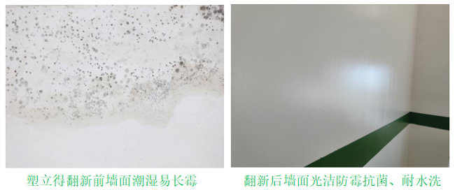 潮濕長黴牆麵翻新