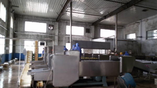 舊食品加工廠房牆麵