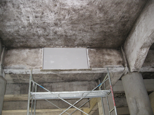 煙廠防黴抗菌牆麵漆 煙廠防黴抗菌牆麵漆