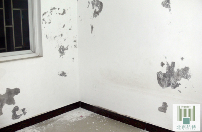 牆麵掉粉怎麽辦,新方法,讓你獲得更耐用的牆麵! 牆麵掉粉怎麽辦,新方法,讓你獲得更耐用的牆麵!