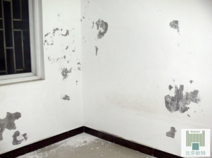 防塗鴉牆麵塗料