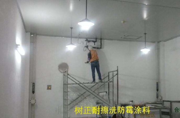 9512防黴塗料價格是多少,食品廠煙廠能用嗎? 9512防黴塗料價格是多少,食品廠煙廠能用嗎?