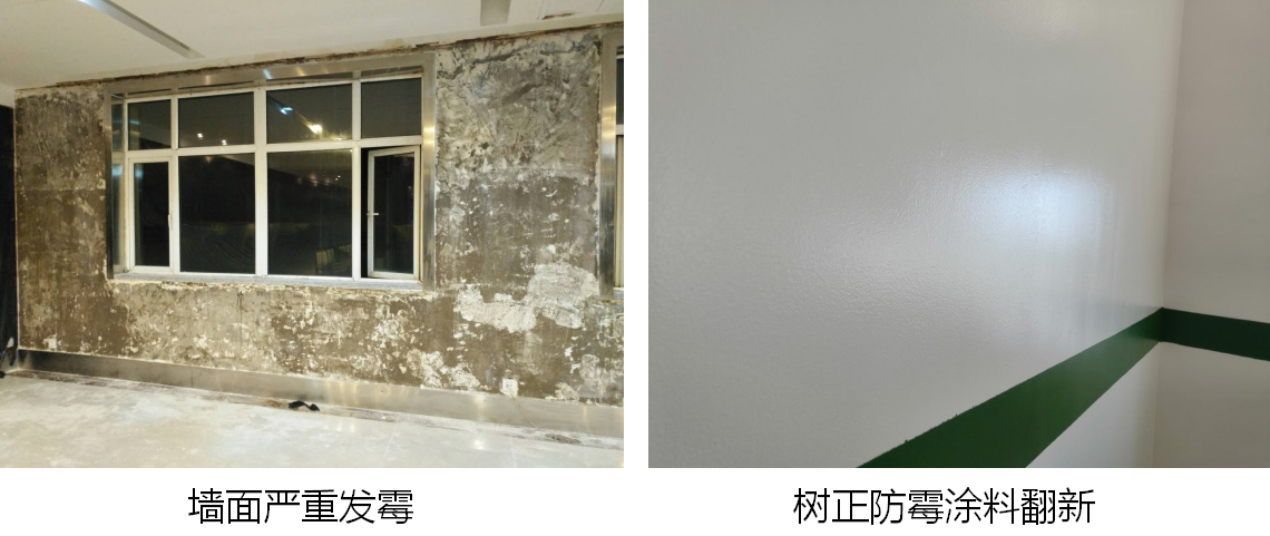 家裝勿擾!牆麵發黴怎麽辦?牆麵如何有效防黴? 家裝勿擾!牆麵發黴怎麽辦?牆麵如何有效防黴?