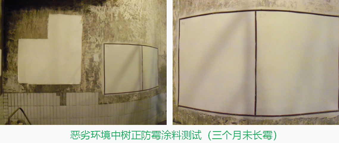 防黴塗料價格是多少?有性價比較高的廠家嗎? 防黴塗料價格是多少?有性價比較高的廠家嗎?