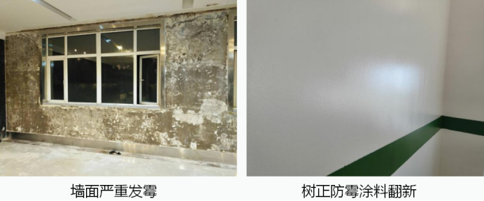 防黴牆麵漆廠家直銷,哪家價格比較好? 防黴牆麵漆廠家直銷,哪家價格比較好?