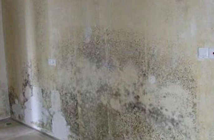 地下車庫牆麵防黴方法有哪些?推薦一個比較有效的! 地下車庫牆麵防黴方法有哪些?推薦一個比較有效的!