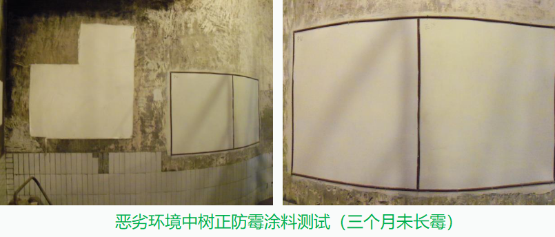 工業廠房牆麵發黴如何處理,新利平台官网一招搞定! 工業廠房牆麵發黴如何處理,新利平台官网一招搞定!