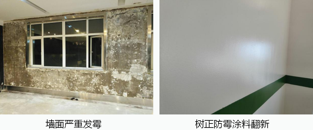 發黴的牆壁怎麽處理?如何有效防黴? 發黴的牆壁怎麽處理?如何有效防黴?