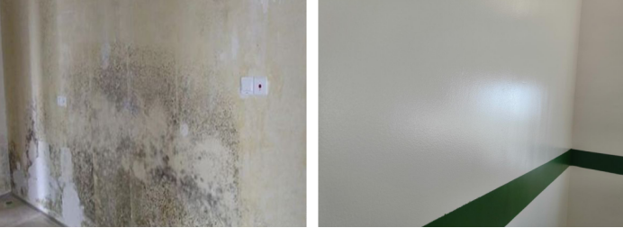 牆麵防黴處理方法有哪些？哪種比較有效？