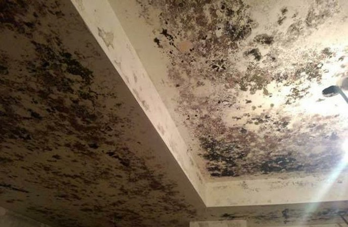 牆麵發黴怎麽處理？有比較好的方法嗎？