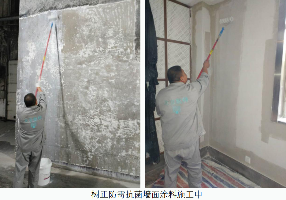 牆麵刷防水塗料防黴，哪家質量比較好值得我們的選擇？