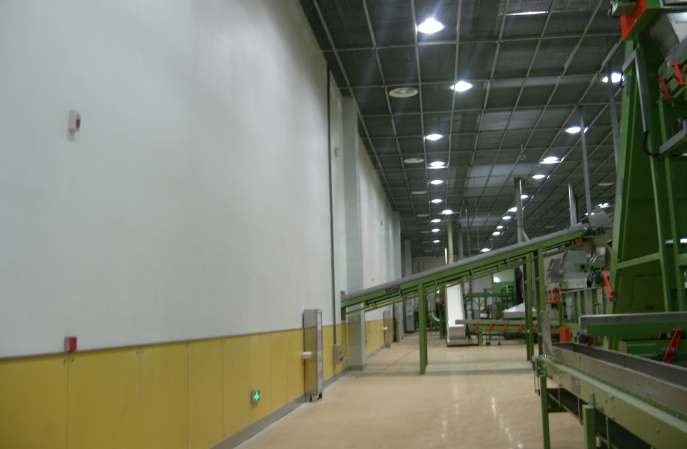 牆麵為什麽會發黴？牆麵發黴怎麽處理？