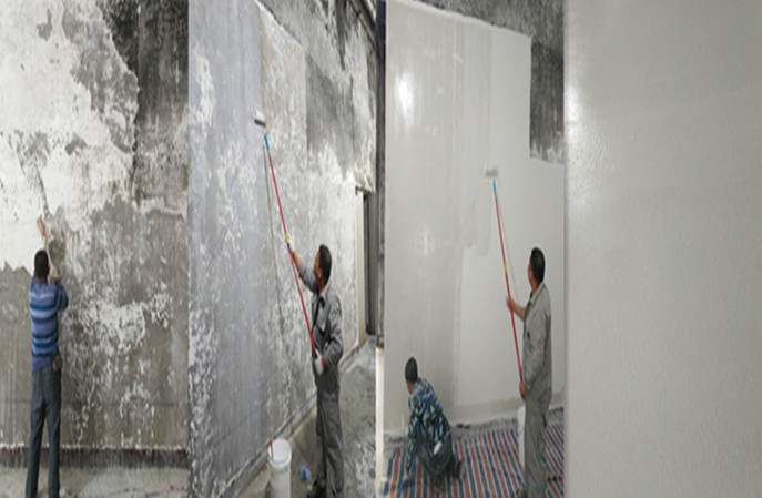 你知道防黴牆麵塗料環保嗎? 你知道防黴牆麵塗料環保嗎?