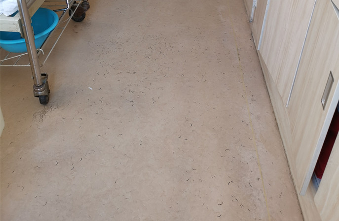 塑立得保養清潔技巧,輕鬆延長塑膠地板使用年限 塑立得保養清潔技巧,輕鬆延長塑膠地板使用年限