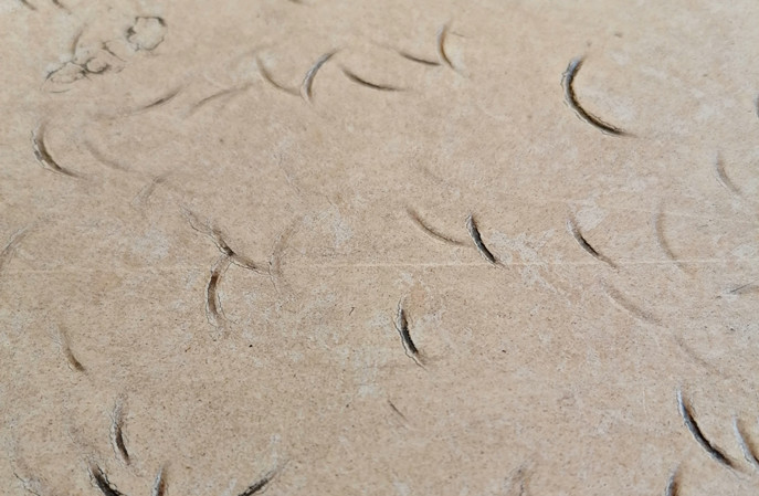 塑膠地板保養“防老指南”:三步讓它年輕10歲! 塑膠地板保養“防老指南”:三步讓它年輕10歲!