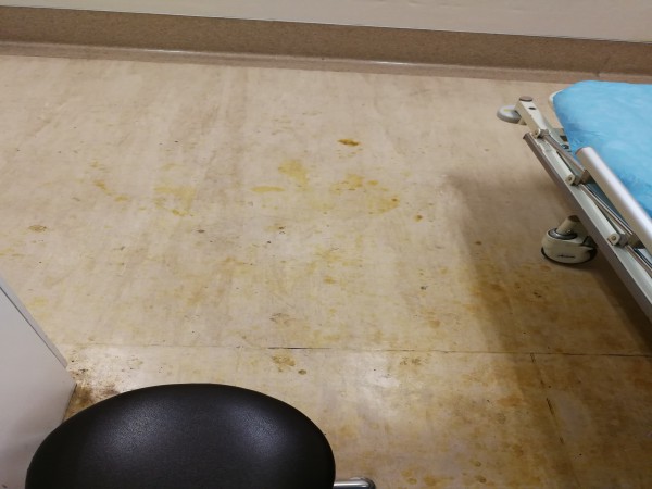 塑立得助力塑膠地板長效保養 塑立得助力塑膠地板長效保養