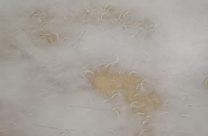 塑立得在塑膠地板翻新保養後有哪些不一樣 塑立得在塑膠地板翻新保養後有哪些不一樣