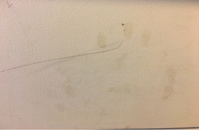 塑立得抗菌塗料：醫院牆麵的“守護神”