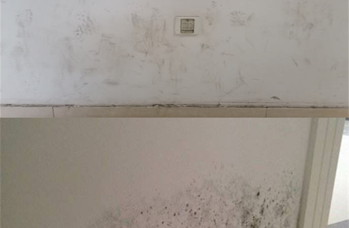 塑立得抗菌塗料：醫院牆麵的“創新先鋒”