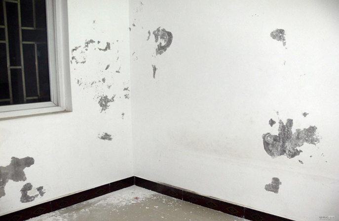 塑立得抗菌塗料：醫院牆麵的“貼心管家”