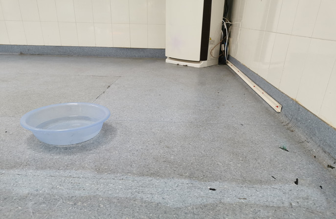 舊PVC地板保養新選擇--塑立得 舊PVC地板保養新選擇--塑立得