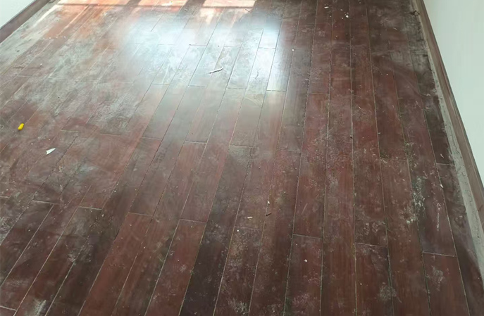 塑立得防護塗料--舊木地板翻新保養的秘密武器 塑立得防護塗料--舊木地板翻新保養的秘密武器