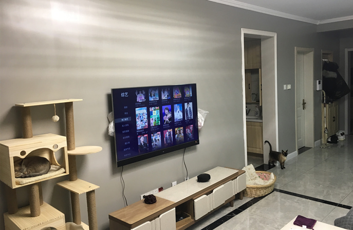 塑立得抗菌牆麵塗料用量揭秘，打造健康家居新體驗