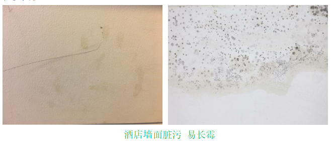 酒店牆麵問題 酒店牆麵問題